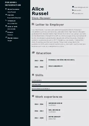 Store Manager resume example